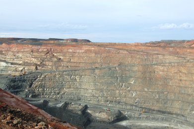 gold miner crusher case study